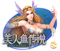星空综合登陆2025最新版